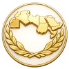 تمثيل عربي دولي 